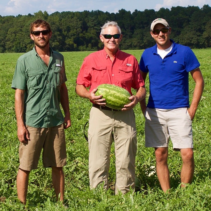 The Melon 1 watermelon farmers are experts in their field Melon1
